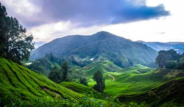 Découverte des Cameron Highlands et du Mt Brinchang (PEN - PEN)