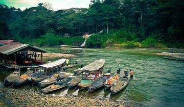 Taman Negara Jungle Experience 3Days/ 2Nights