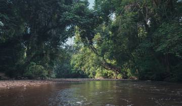 Expérience de la jungle de Taman Negara 3Djours/ 2nuits