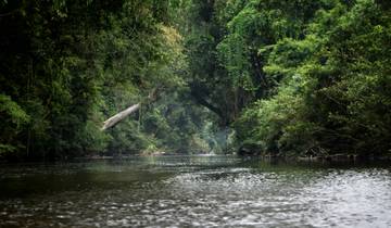 L'essentiel de Taman Negara avec les Orang Asli 3Djours/ 2Nuits