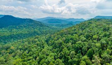 3 Day Malaysian Rainforest Itinerary, incl. Kuala Lumpur and Rompin State Park