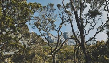 7 Days in Borneo, incl. Kuching and Kota Kinabalu