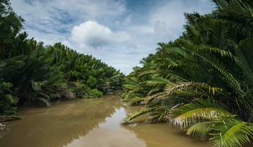 Secrets de Sarawak avec croisière dans la mangrove de Santubong circuit