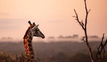 5-Day Greater Kruger Park, Panorama Route and Cultural Safari Tour