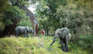 6-Day Wildlife Camping Safari in Botswana Tour