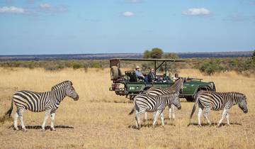 Big Five South Africa Wildlife Experience Tour