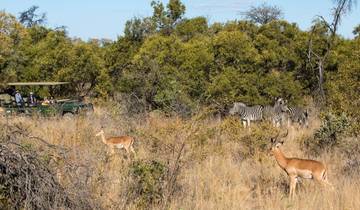 3-Day Pilanesberg Big Five Bush Adventure from Johannesburg