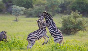 5 jours de safaris, d\'excursions en bateau et de visites du patrimoine du Waterberg circuit