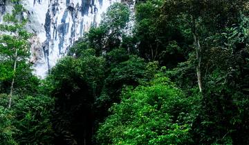 3 Day Gunung Mulu National Park Itinerary, incl. Deer Cave and Clearwater Cave