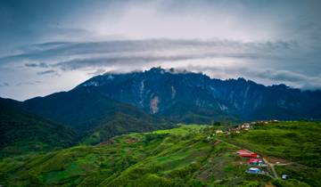 6 Day Borneo Wildlife Itinerary, incl. Kota Kinabalu and Sandakan