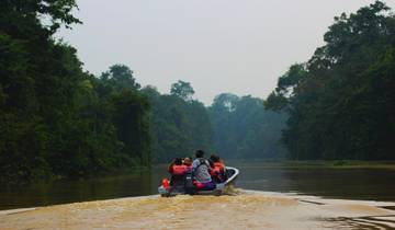 6 Day Borneo Wildlife Itinerary, incl. Kota Kinabalu and Sandakan