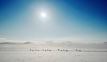 Arctic Ski Expedition Tour