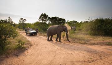 Krüger Nationalpark romantische Safari (Flitterwochen)