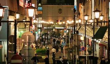 21 Day Japan Itinerary, incl. Kyoto and Tokyo