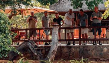 7-Day Game Drives, Kruger Park Safari and Panorama Route Tour