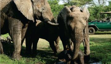 7 Day South Africa Itinerary, incl. Kruger National Park and Blyde River Canyon