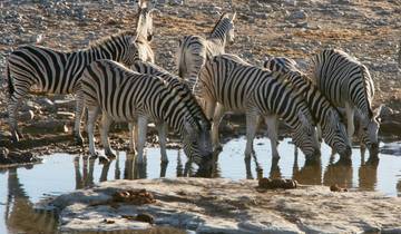 Wildlife and Cultural Exchange Tour in Namibia Tour