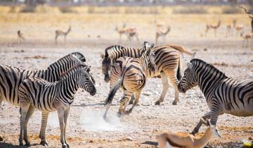 Safari Tour & Top Attraction Visit in Namibia Tour
