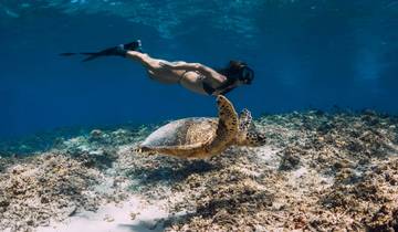 Discover Paradise: 6 Days Gilis and Nusa Penida Islands Experience