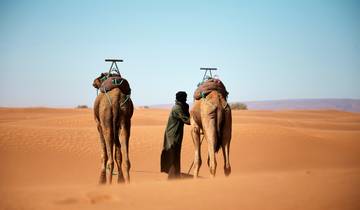 Circuito Circuitos Privados por el Desierto de Marrakech a Las Dunas Judías