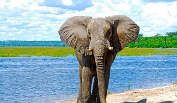 Africa