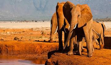 2 Days Amboseli National Park Tour