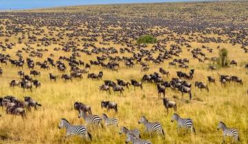 2 jours de safari en Tanzanie (Safari Tarangire/Lac Manyara & Ngorongoro) circuit