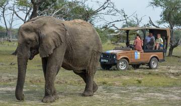 Vanuit Zanzibar: 3-daagse Selous safari, boot, bushwalk en vluchten-rondreis