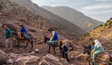 1-Day Tours From Marrakesh To Mule Trekking In Imlil