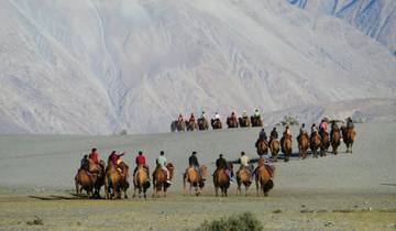 Ladakh In-Depth Tour Package