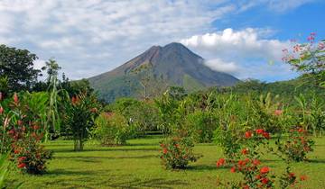 Costa Rica : Un monde de nature avec le parc national de Tortuguero, le volcan Arenal et le parc national de Manuel Antonio (2025) circuit