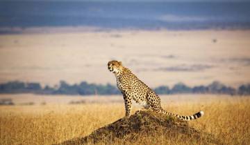 5 Days Tanzania Safari Tour