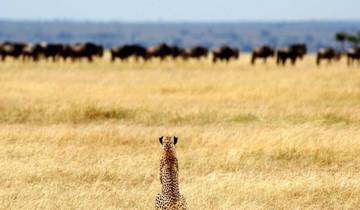 3 Days Tanzania Odyssey Luxury Safari