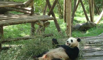 Circuito Descubriendo laEsencia de China: de la ciudad prohibida a los santuarios del panda (personalizado privado)