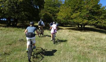 7 Day Romania Itinerary, incl. Carpathian Mountains and Transylvania