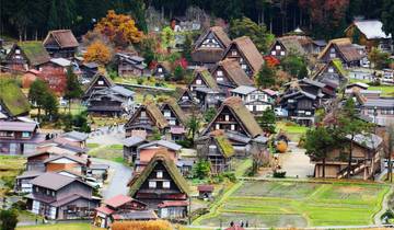 14 Days Japan Panoramic Culture and Temple Tour  (private guide & driver）