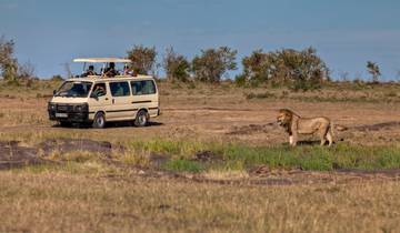 19 Day East Africa Itinerary, incl. Nairobi and Serengeti