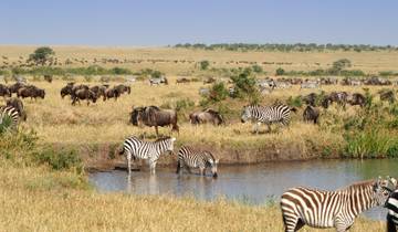 19 Day East Africa Itinerary, incl. Nairobi and Serengeti