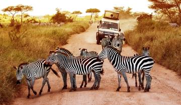 19 Day East Africa Itinerary, incl. Nairobi and Serengeti