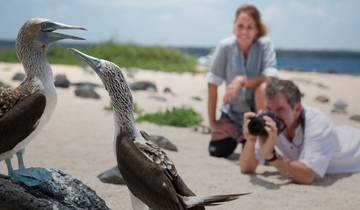 Geluxe: The Galápagos: Wildlife of Santa Cruz & Isabela Islands