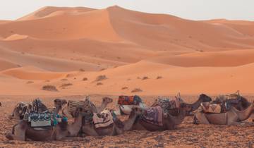 3-Day, 2-Night Camp Adventure from Fes to Marrakech Tour