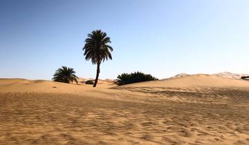 Explore Merzouga Desert: A 3-Day, 2-Night Adventure Tour