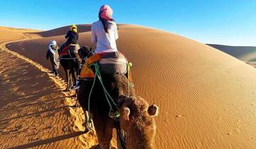 04-day sahara desert discovery tour from marrakech Tour