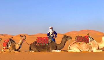 13 Days Supreme Guided Tour from Casablanca - Morocco Tour