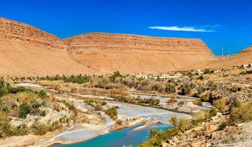 Woestijnavontuur van 2 dagen&1 nacht met vertrek&terugkomst in Fez-rondreis