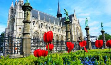 Netherlands and Flanders Dutch Symphony Intermediate Deluxe Tour
