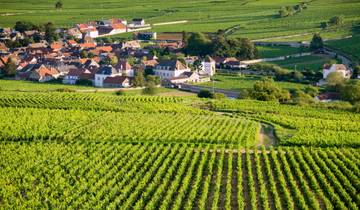 Spain, Burgundy, Alsace and Black Forest Tour