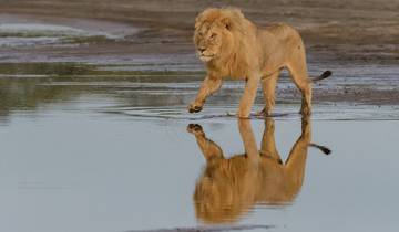 Au départ d\'Arusha : Safari de 2 jours à Tarangire et au lac Manyara circuit