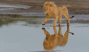 Depuis Arusha 3 jours : Ultimate 3 Day Safari in Tanzania, Tarangire, Lake Manyara, 8th World Wonder (en anglais) circuit