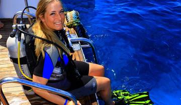 Excursion d'une journée en mer à Hurghada et plongée sous-marine